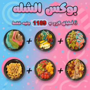 Shella Bundle